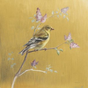 Danhui Nai - Female Goldfinch on Gold
