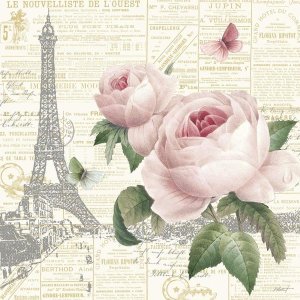 Katie Pertiet - Roses in Paris III