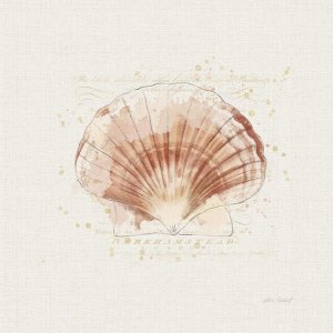 Katie Pertiet - Shell Collector IV