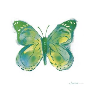 Shirley Novak - Birdsong Garden Butterfly I on White