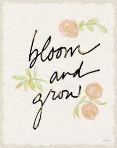 Sue Schlabach - Bloom and Grow