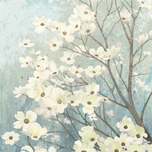 James Wiens - Dogwood Blossoms I