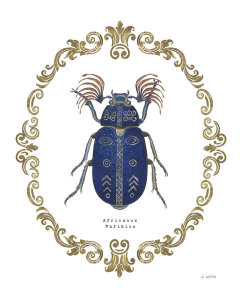 James Wiens - Adorning Coleoptera III
