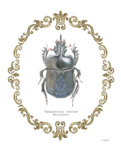 James Wiens - Adorning Coleoptera IV
