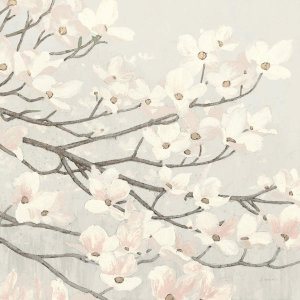 James Wiens - Dogwood Blossoms II Gray