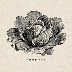 Studio Mousseau - Burlap Vegetable BW Sketch Lettuce