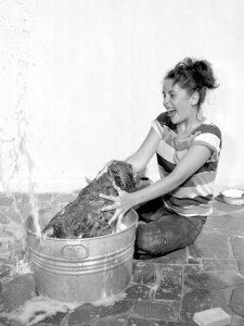 Hollywood Photo Archive - Elizabeth Taylor washing a dog