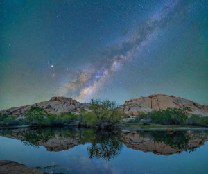 Tim Fitzharris - Milky Way, Barker Pond Trail, Joshua Tree National Park, California