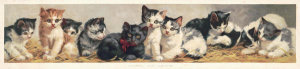 Unknown 19th Century American Lithographer - Yard of Cats, 1893