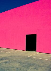 David Jordan Williams - Shocking Pink Wall