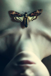Magdalena Russocka - Moth