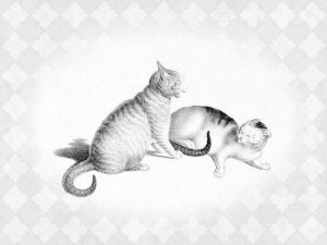 Gottfried Mind - 2 Cats Fighting