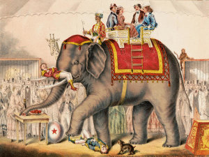 Gibson & Co. - Circus Scenes: Elephant, ca. 1891