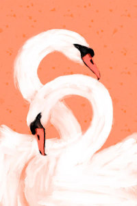 Treechild - Swans