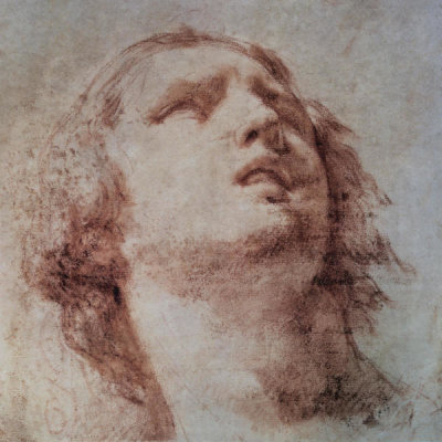 Pietro Berrettini - Study of a Head Looking Up