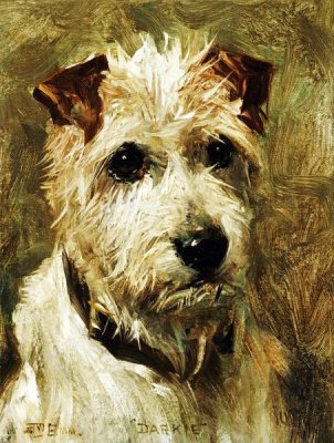 John Emms - Portrait of a Terrier: Darkie