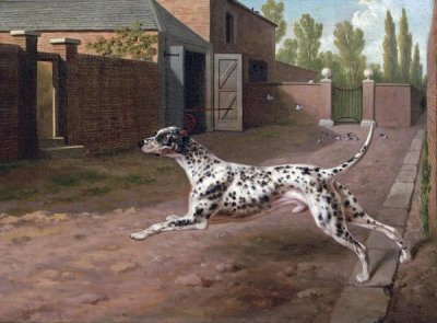 Philip Reinagle - A Dalmation Running In a Stable Yard