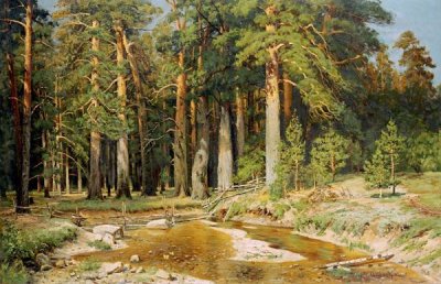Ivan Ivanovich Shishkin - The Mast-Tree Grove, Study