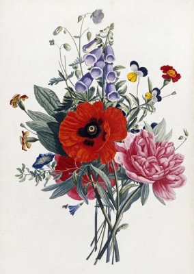 Jean-Louis Prevost - Collection Des Fleurs Et Des Fruits