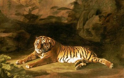 Portrait of The Royal Tiger