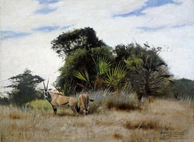 Wilhelm Kuhnert - Gemsbok Oryx