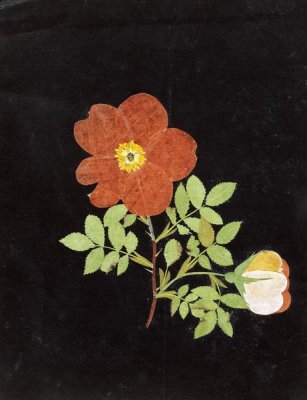 Margaret Nash - Cut Out Watercolour of a Flower