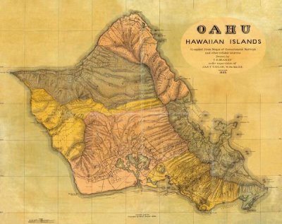 T.D. Beasley - Oahu, Hawaiian Islands, 1899