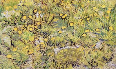 Vincent Van Gogh - Field Of Yellow Flowers