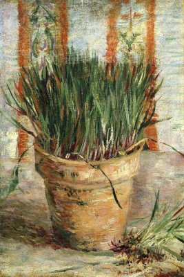 Vincent Van Gogh - Flowerpot With Chives