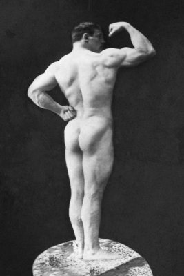 Vintage Muscle Men - Statuesque Back and Arm Curl