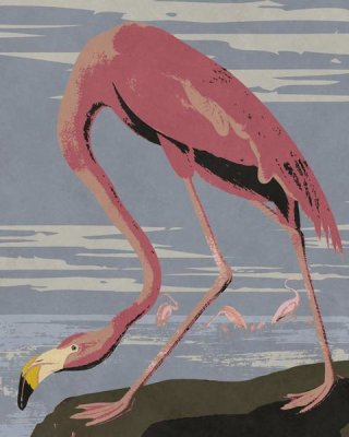 BG.Studio - Audubon Decor - American Flamingo