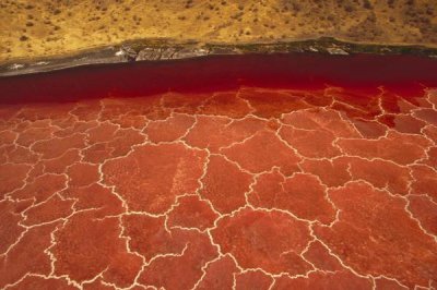 Gerry Ellis - Soda formations on the surface of Lake Natron, Tanzania, east Africa