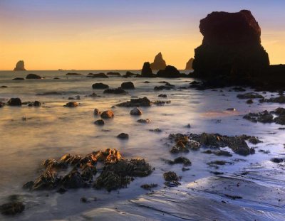 Tim Fitzharris - Lone Beach at sunset, Oregon