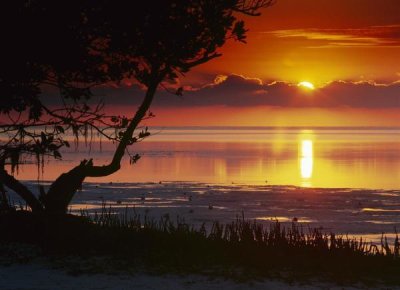 Tim Fitzharris - Sunset over Anne's Beach, Florida