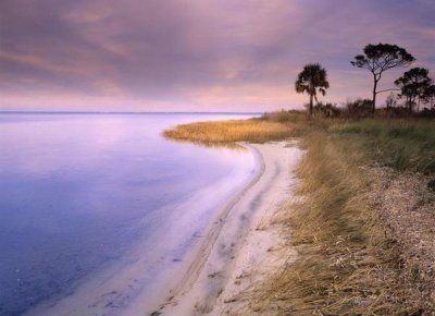 Tim Fitzharris - Beach along Saint Joseph's Bay, Florida