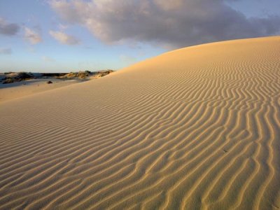 Tim Fitzharris - Sand dune, Monahans Sandhills State Park, Texas