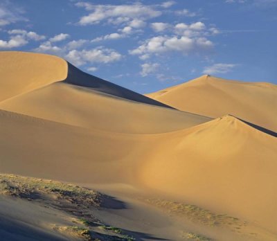 Tim Fitzharris - Sand dunes, Great Sand Dunes National Monument, Colorado