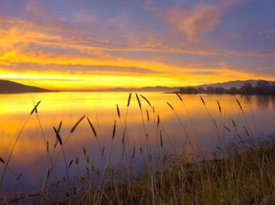 Tim Fitzharris - Sunrise at San Luis Reservoir, San Joaquin Valley, California
