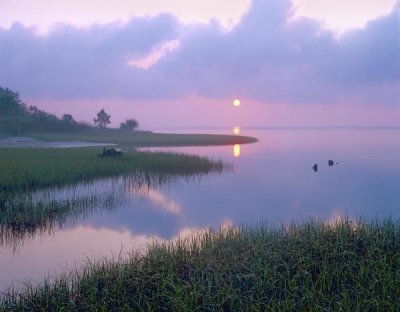 Tim Fitzharris - Marsh at sunrise over Eagle Bay, St Joseph Peninsula, Florida
