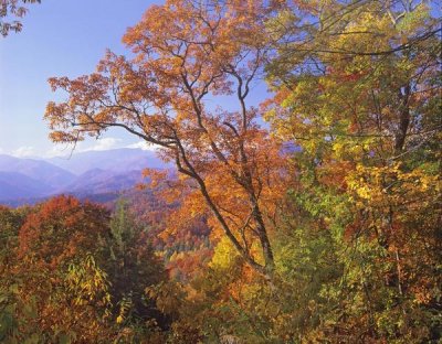 Tim Fitzharris - Great Smoky Mountains from, Blue Ridge Parkway, North Carolina