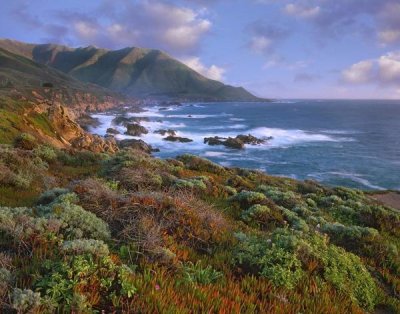 Tim Fitzharris - Cliffs and the Pacific Ocean, Garrapata State Beach, Big Sur, California