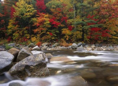 Tim Fitzharris - Wild river in eastern hardwood forest, White Mountains National Forest, Maine
