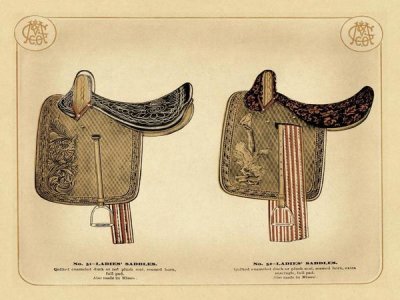 Unknown - Saddles and Tack: Ladies' Saddles #1
