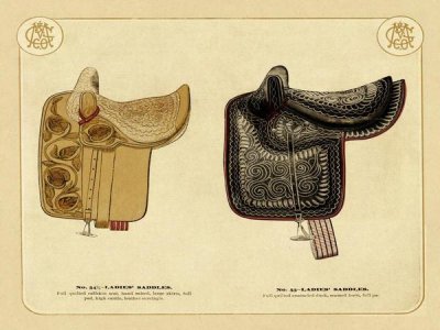 Unknown - Saddles and Tack: Ladies' Saddles #3