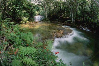 Tui De Roy - Mato Grosso, limestone springs and waterfalls, Serra de Bodoquena, Brazil