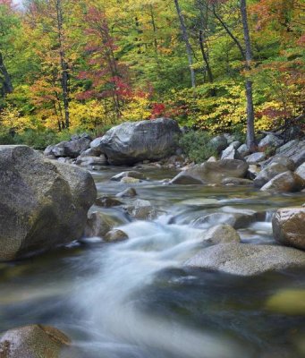 Tim Fitzharris - Swift River in fall, White Mountains National Forest, New Hampshire