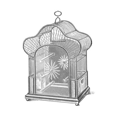 Catalog Illustration - Etchings: Birdcage - Palmate top, daisy detail.