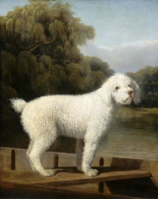 White Poodle in a Punt, c. 1780