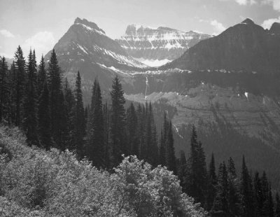 Trees, Bushes and Mountains, Glacier National Park, Montana - National Parks and Monuments, 1941