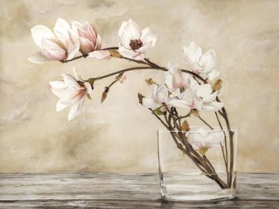 Cristina Mavaracchio - Fiori di magnolia